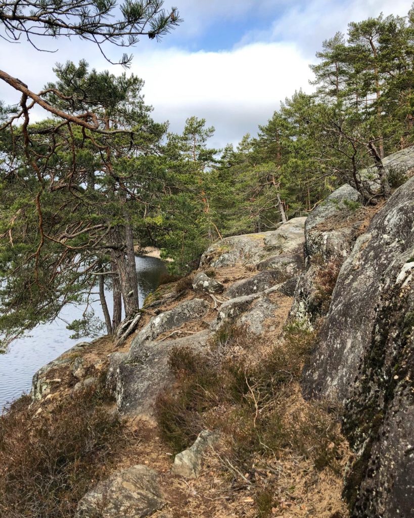 Skogsstig
