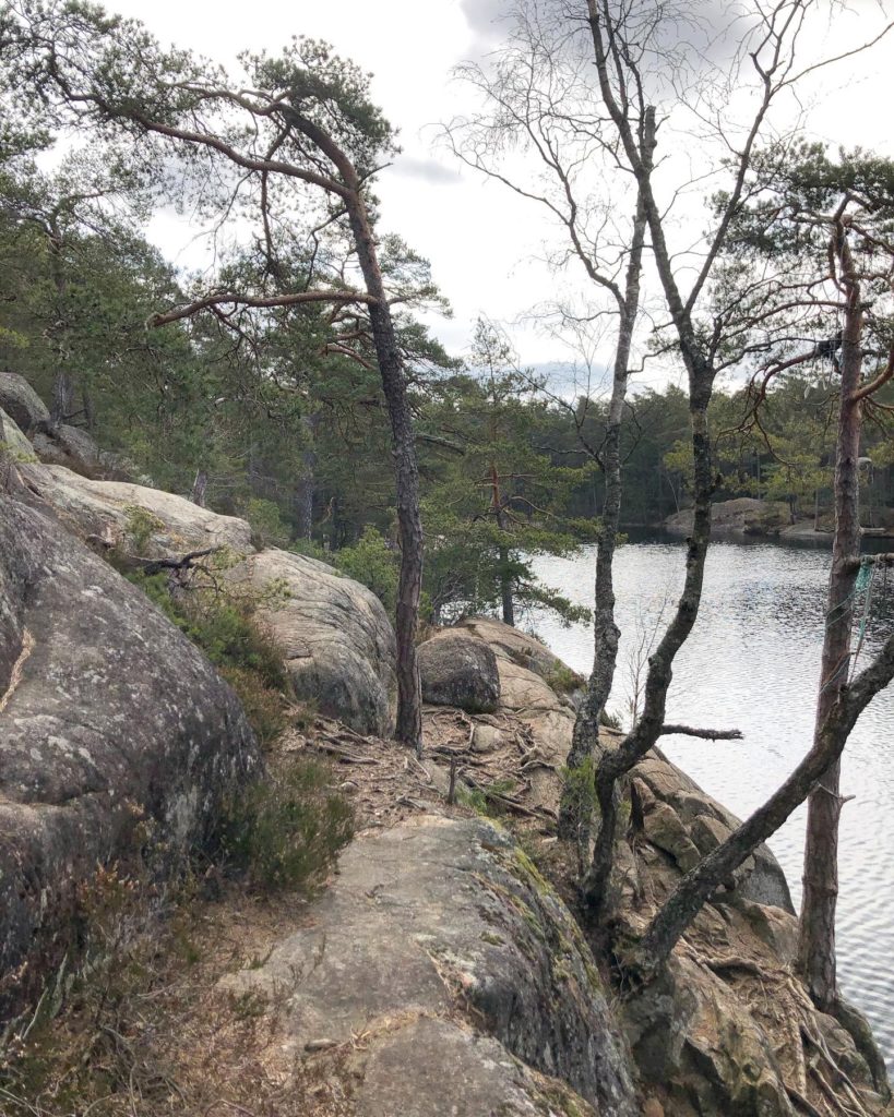 Skogen
