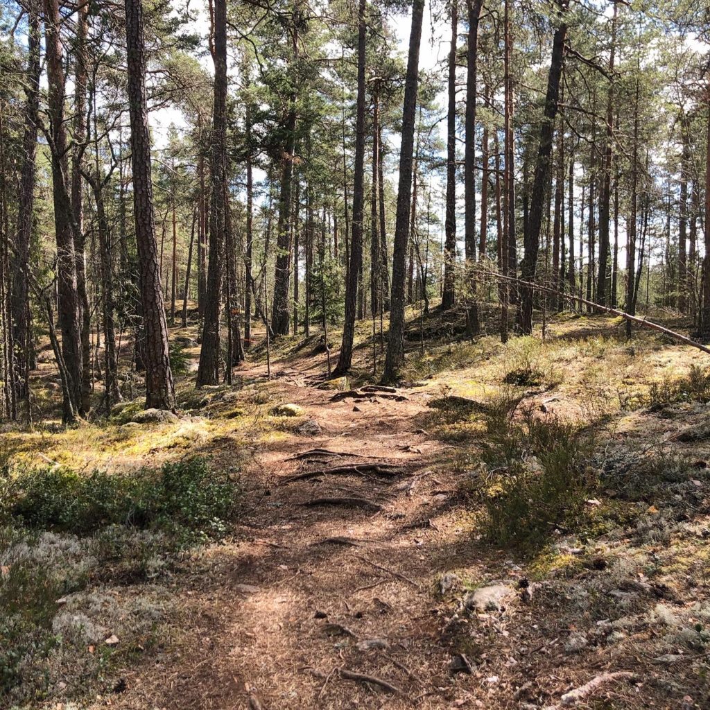 Skogsstig