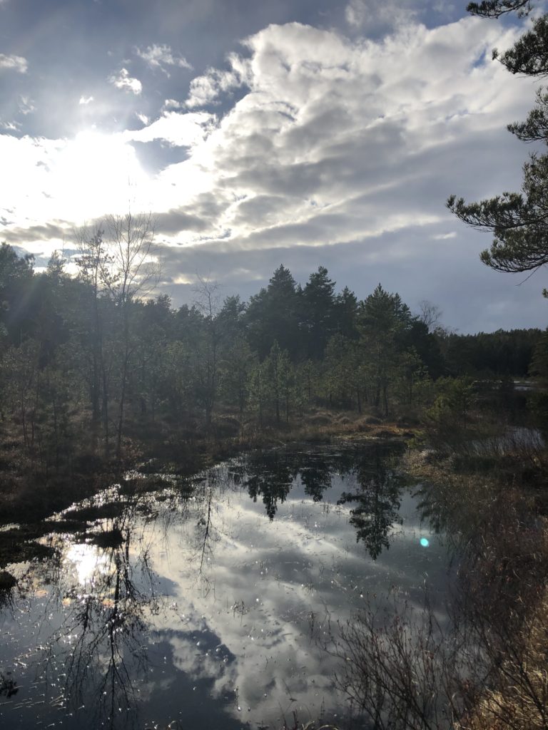 Lunnsjön