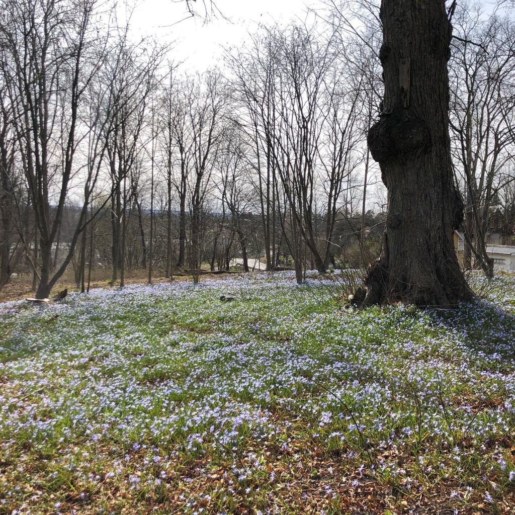 25C7B777-8A0F-4DA8-AB2B-D4A382C4C134-1024x1024 - Påskafton 2020