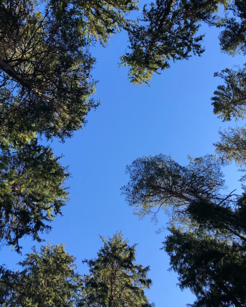 Blå himmel