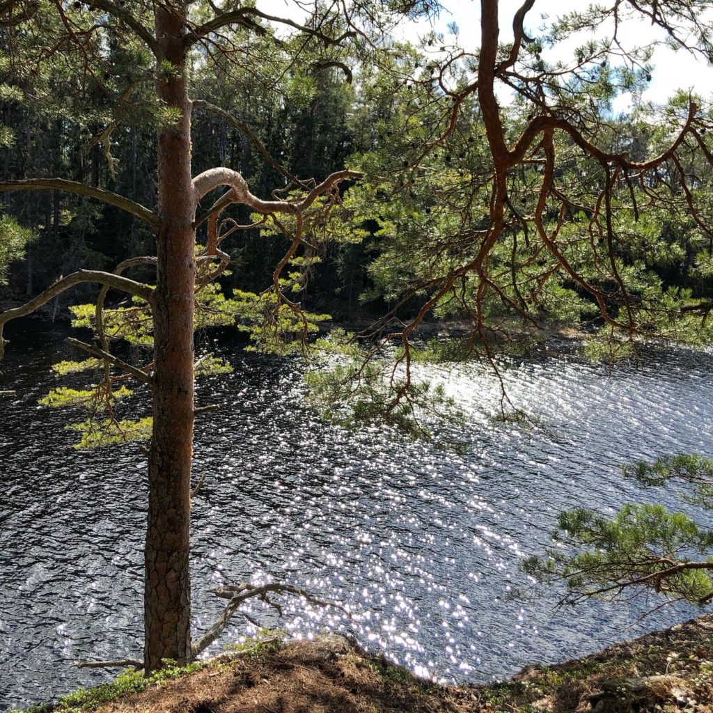 Ågelsjön