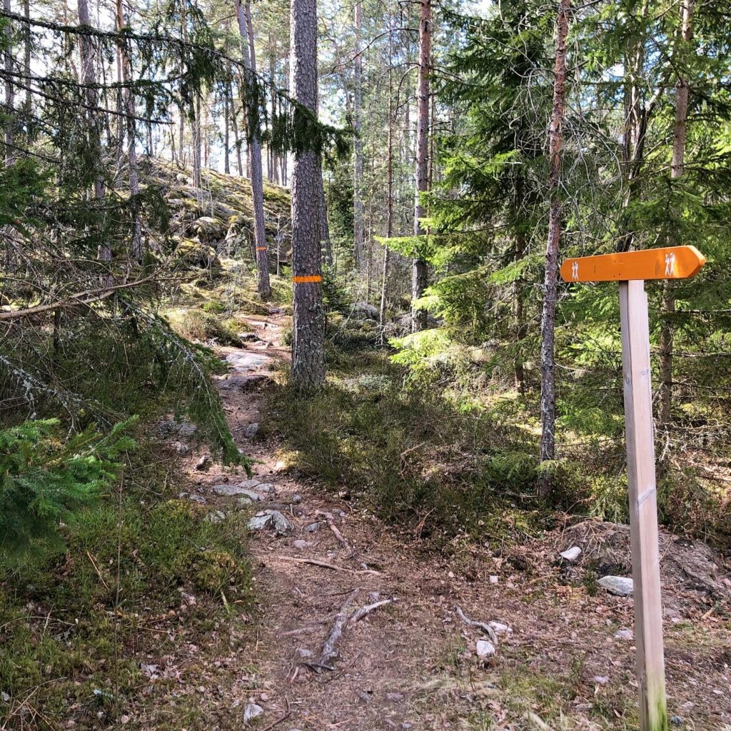trailrunning