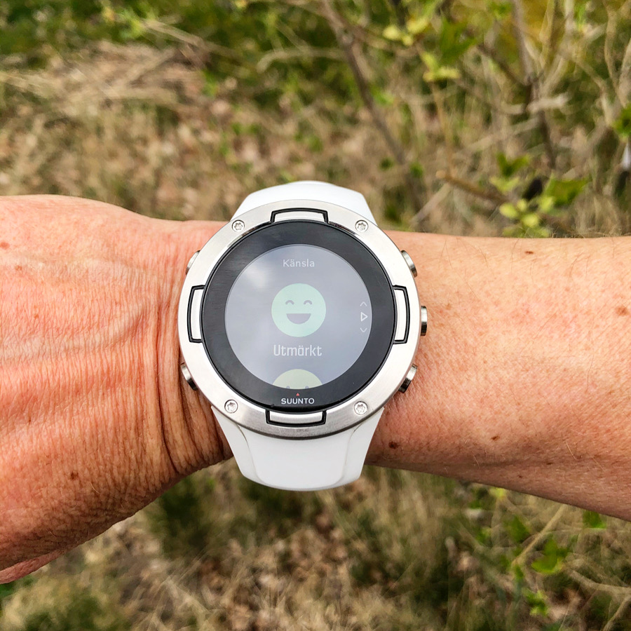 Suuntorun