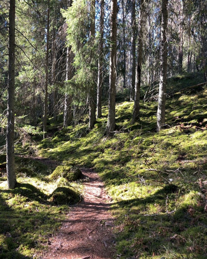 Skogsstigar