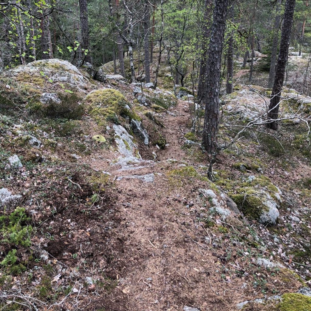 Skogsstig