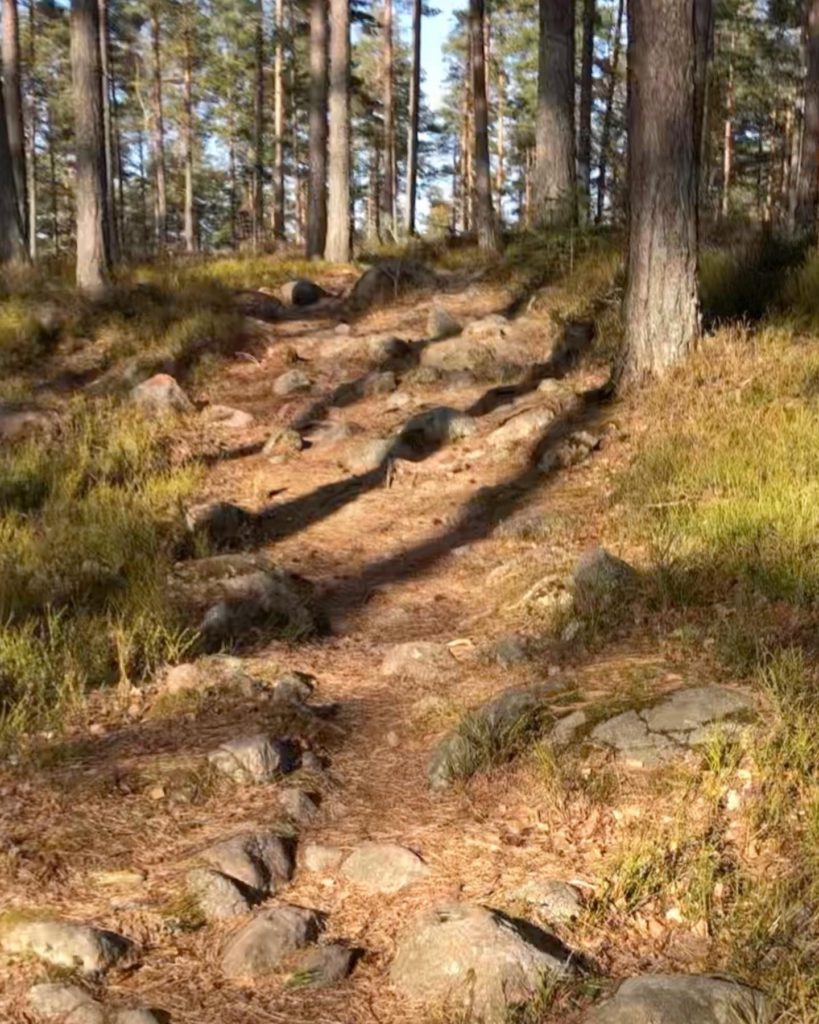 Skogsstig