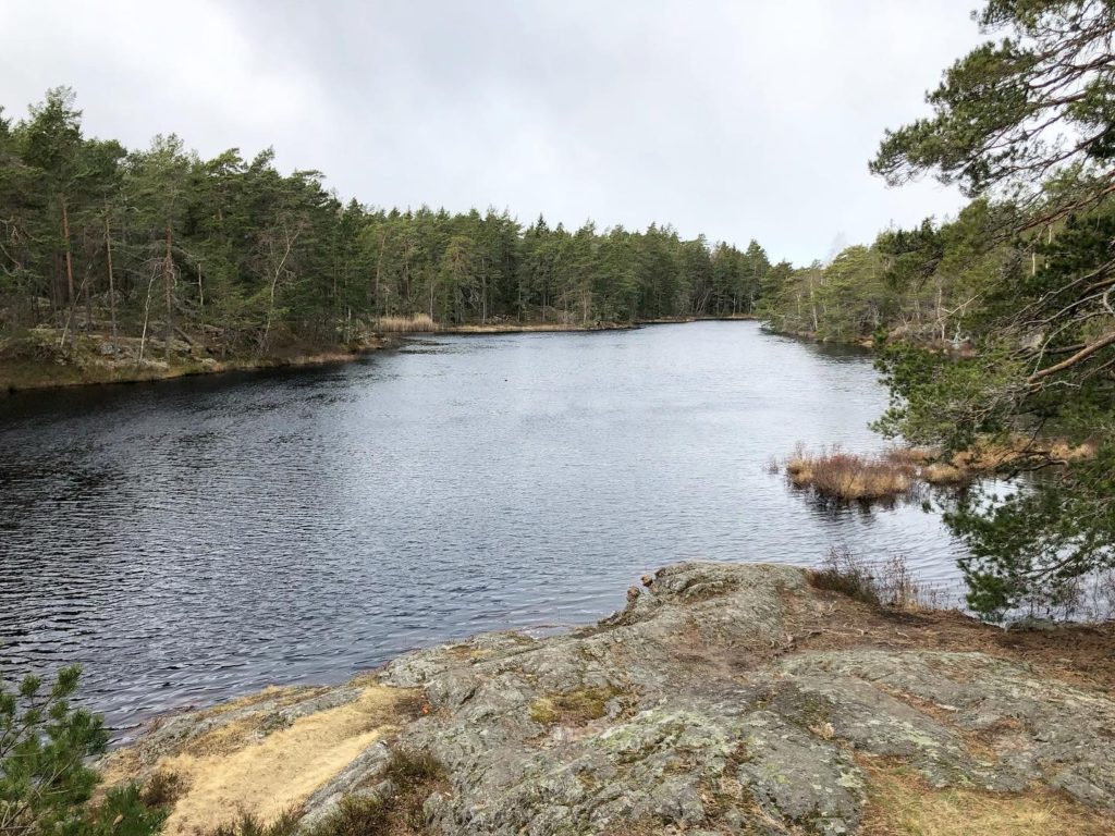Lunnsjön