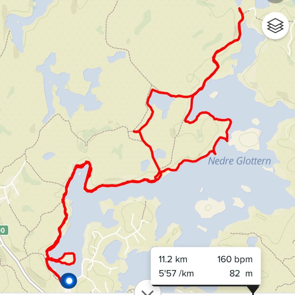 Vi sprang visst ett hjärta