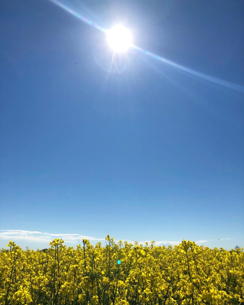 Naturmagi i Sveriges färger