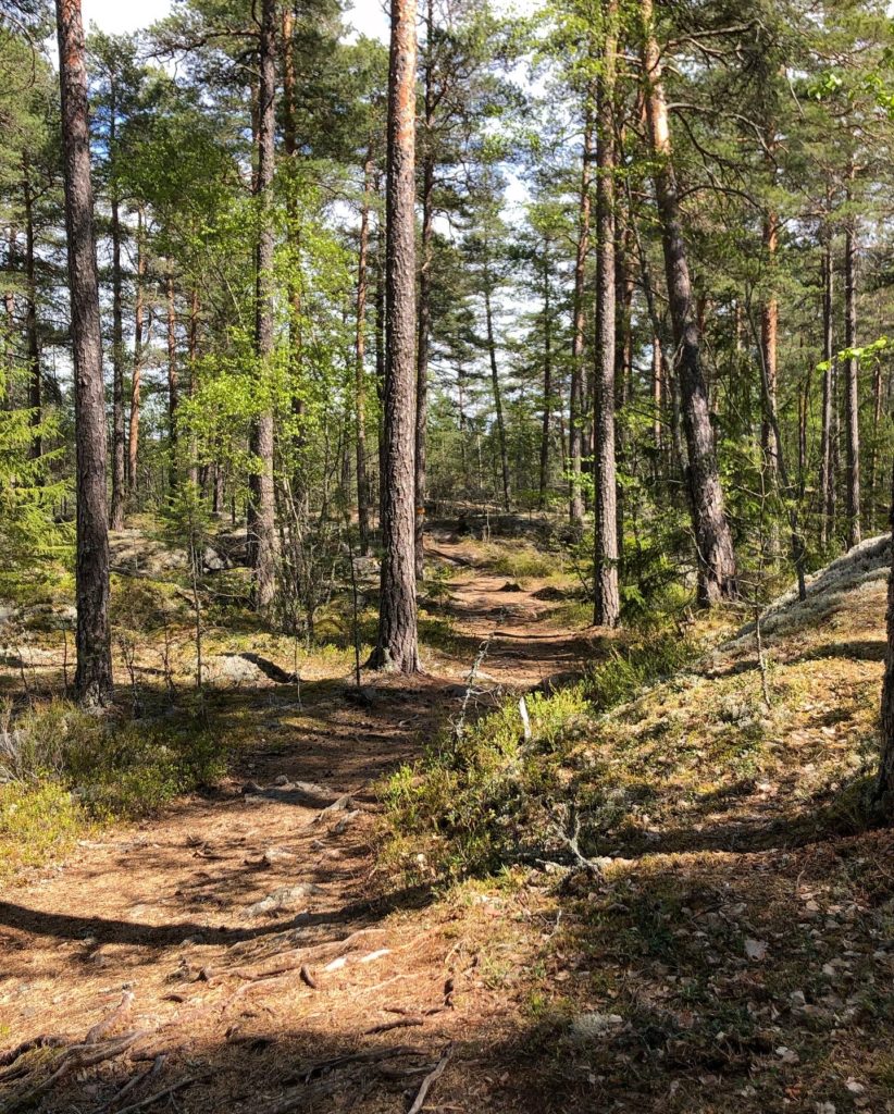 Skogsstig