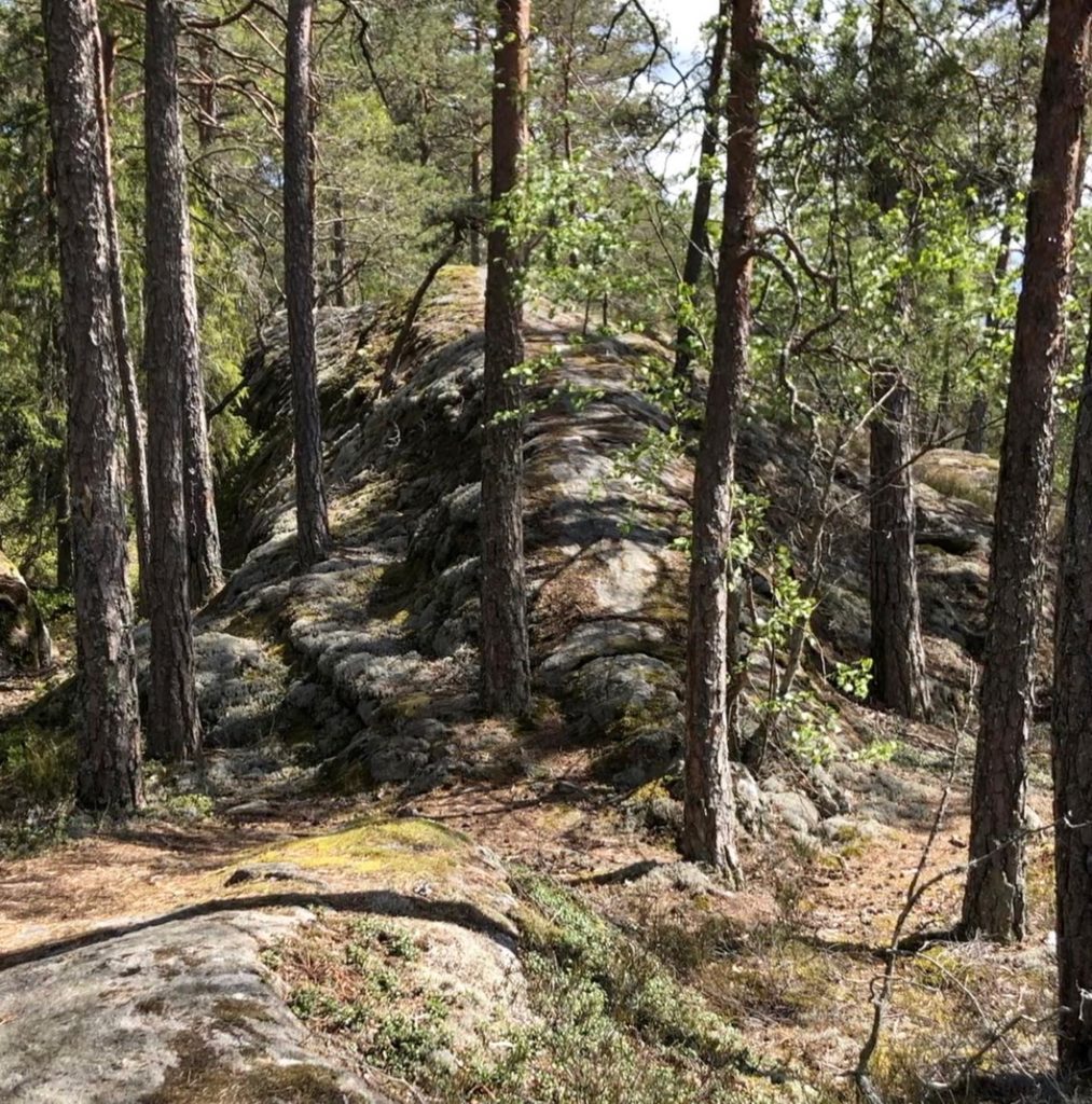 Skogen är bäst