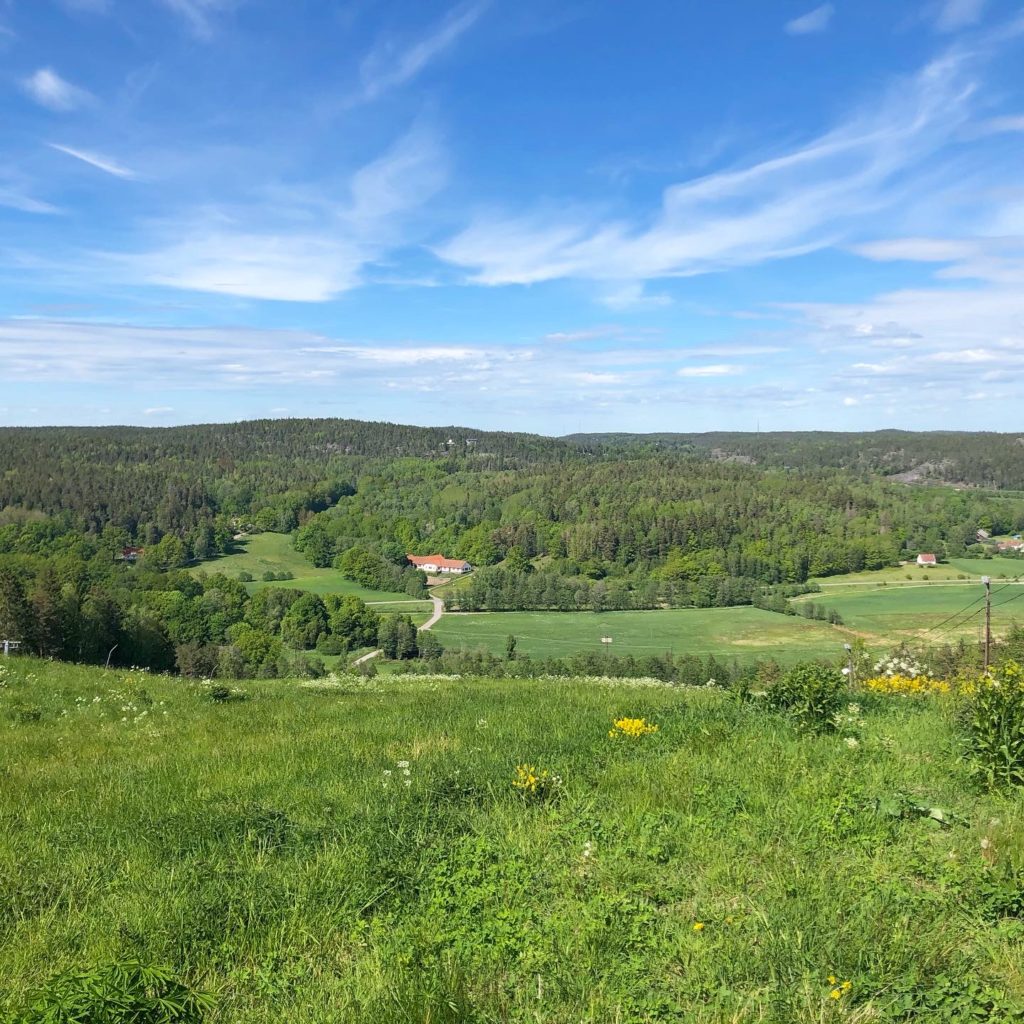 Yxbacken