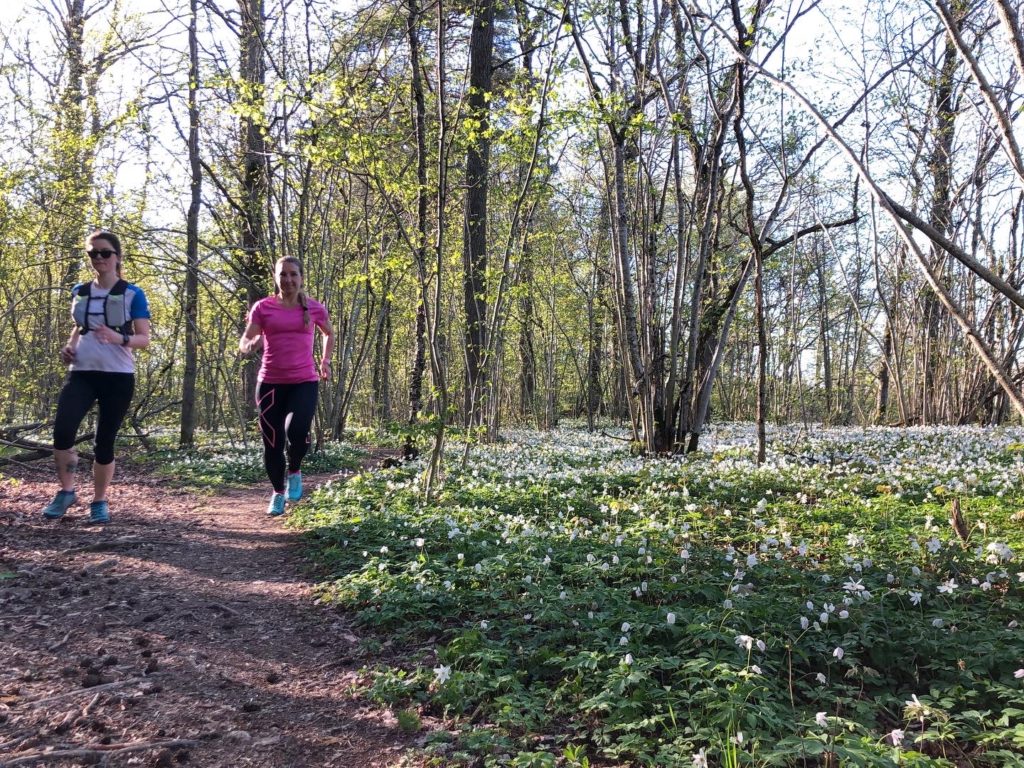 Veckans löppass: spring på ett nytt ställe