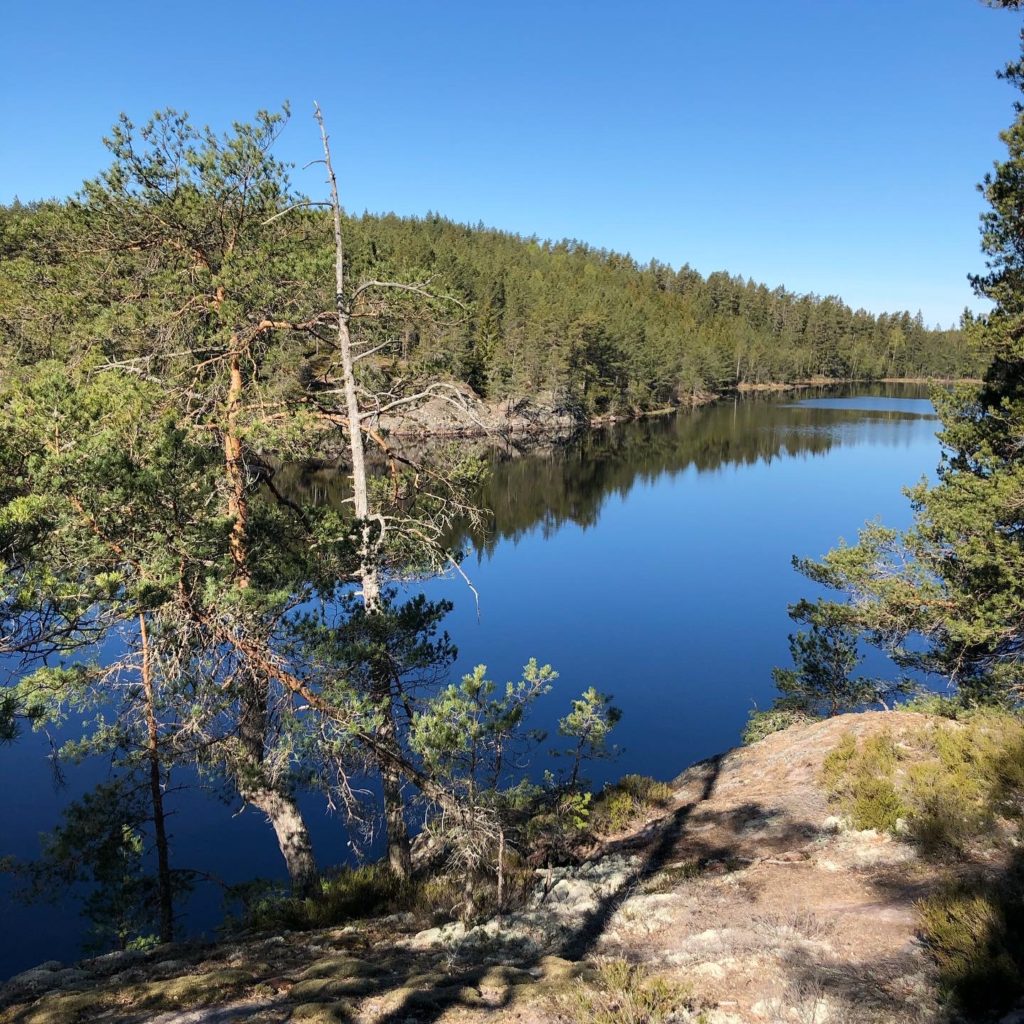 Man kan ju bara svara JA