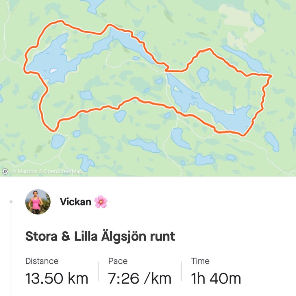 E4164BF6-6CB3-4C09-A162-36E03C56D6C6-1024x1024 - Man kan ju bara svara JA