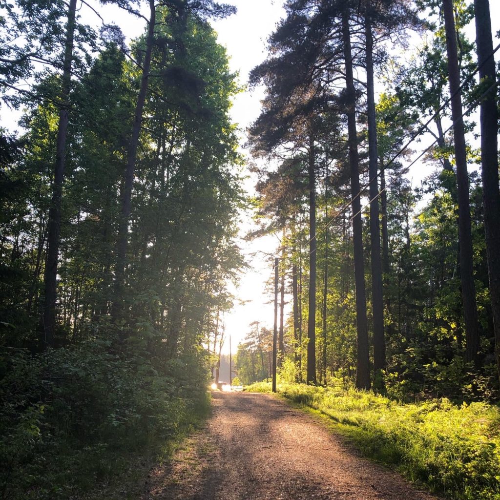 Kvällssolen är så underbar
