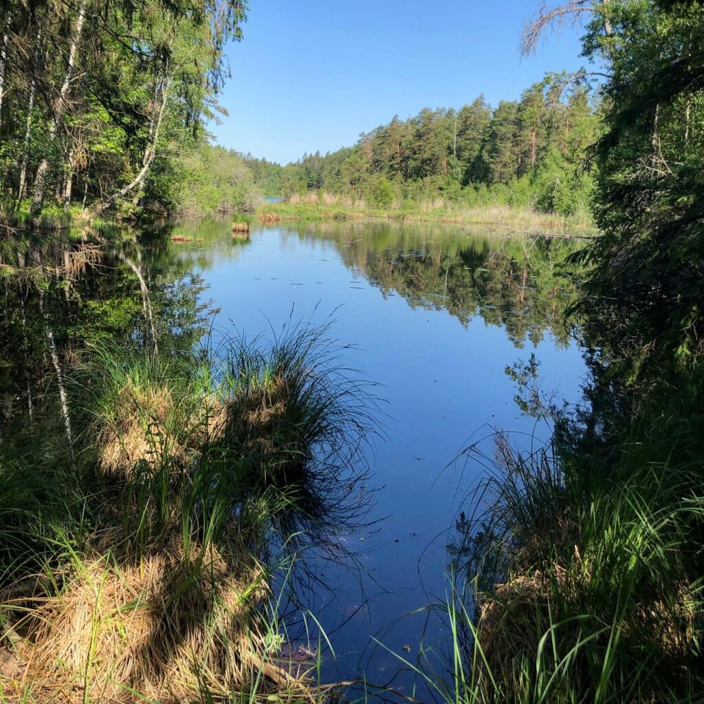Igelsjön