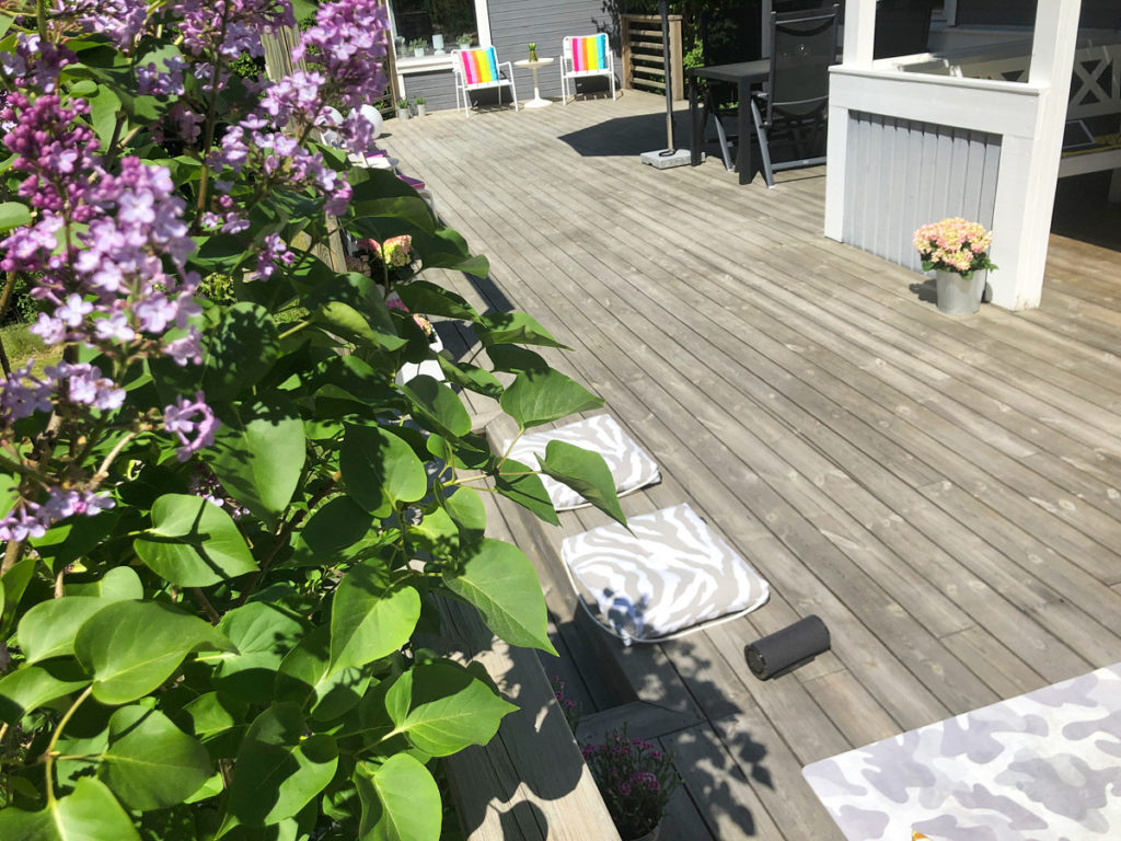 Perfekt träningsmiljö