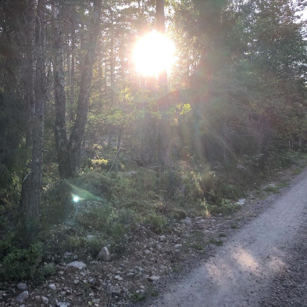 Kvällssol