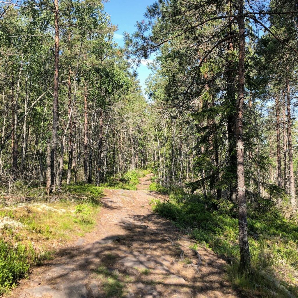 Skogsstig
