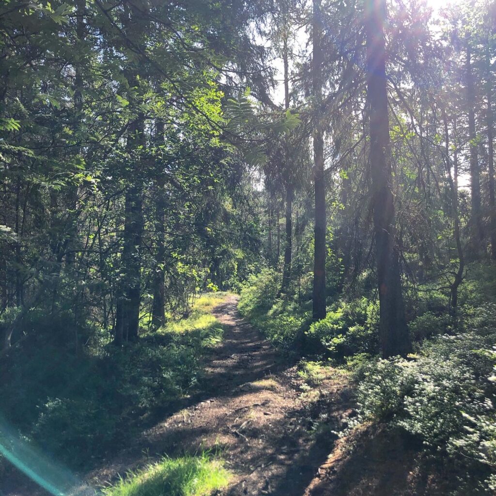 Fredagshopp och fredagsmil såklart