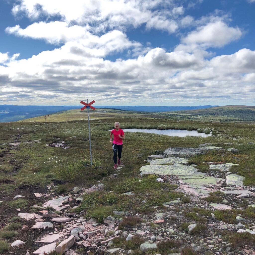 Fjällöpning
