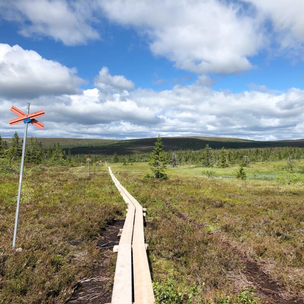 Stensjön, Hemfjällstangen och Mellanfjällsstugan runt