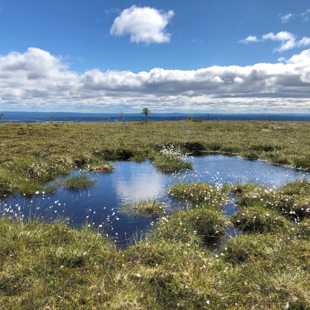 Stensjön, Hemfjällstangen och Mellanfjällsstugan runt