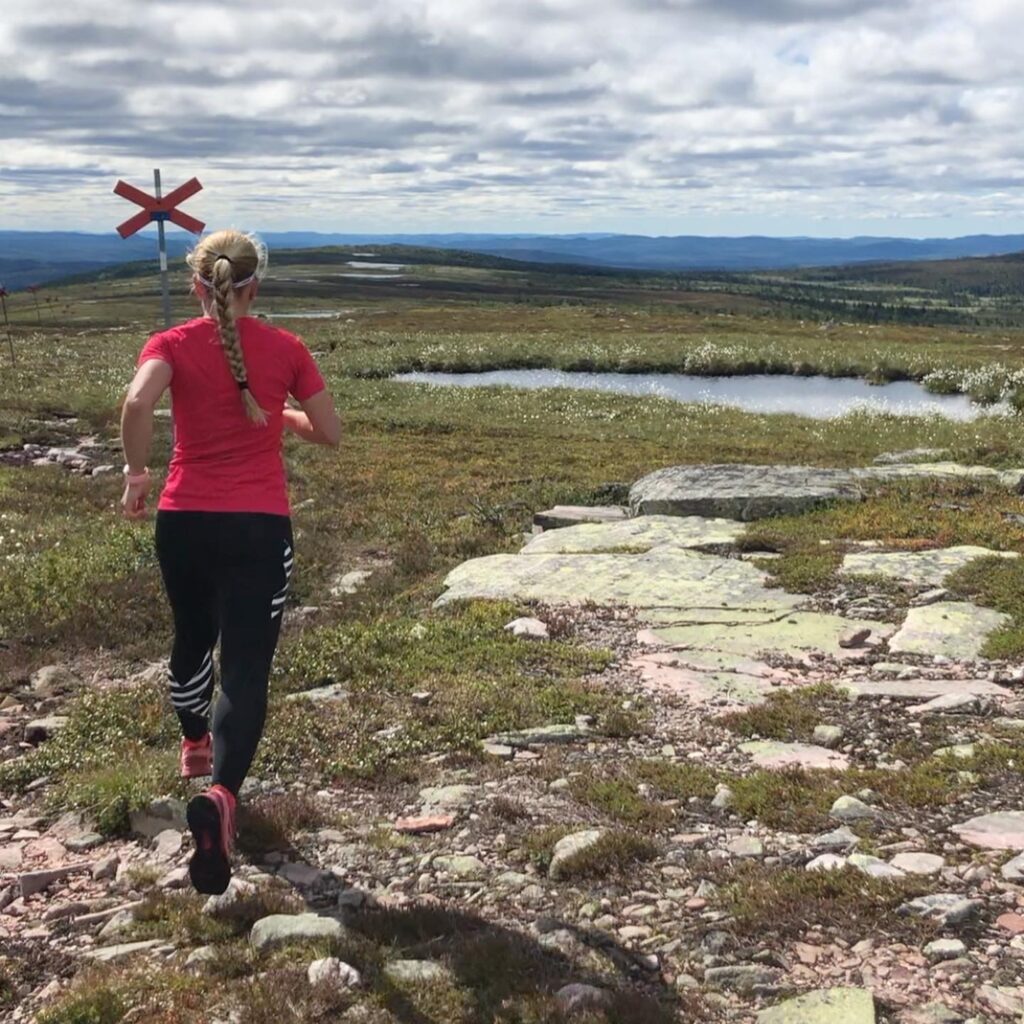 Fjällöpning