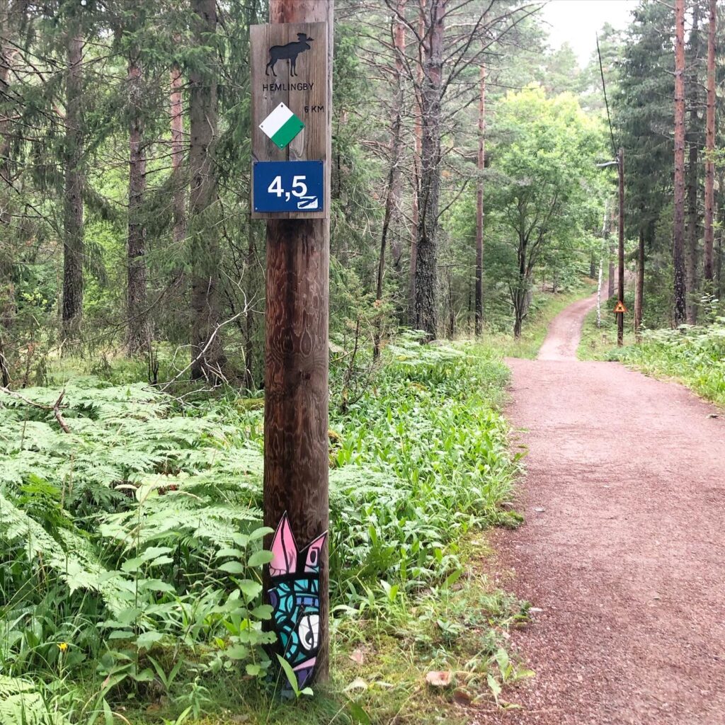 Hemlingbyspåret