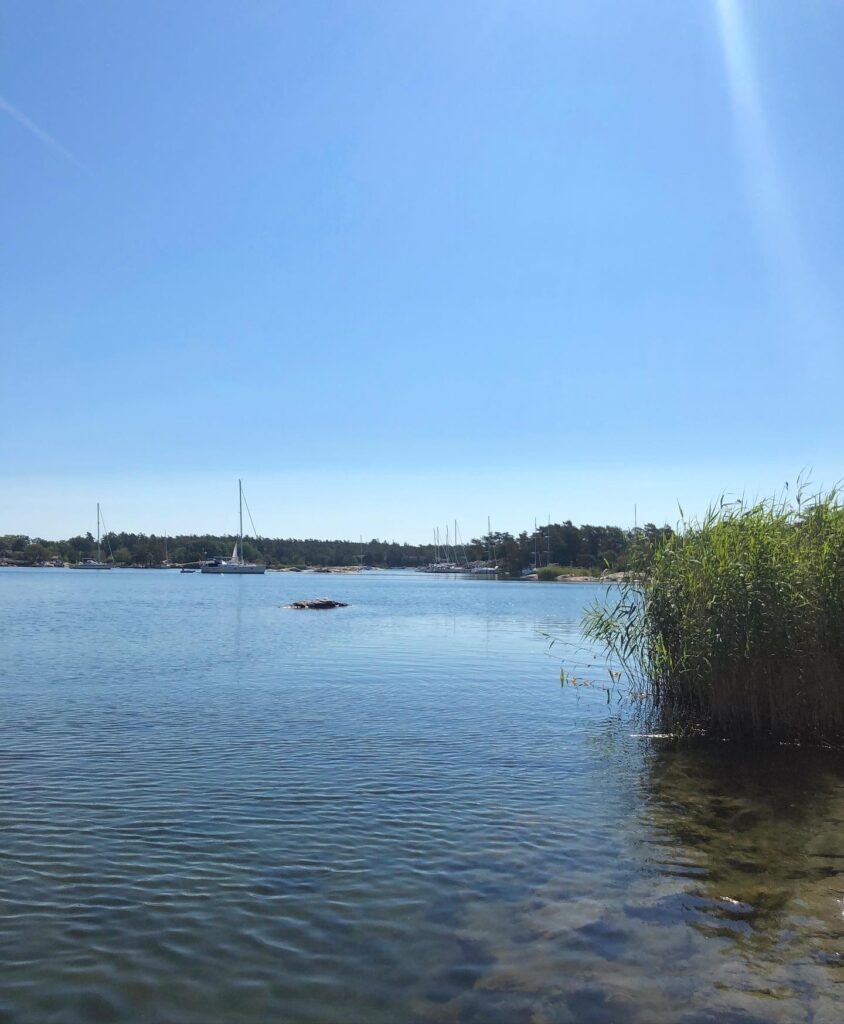 Stendörrens naturreservat