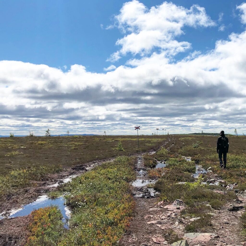 Stensjön, Hemfjällstangen och Mellanfjällsstugan runt