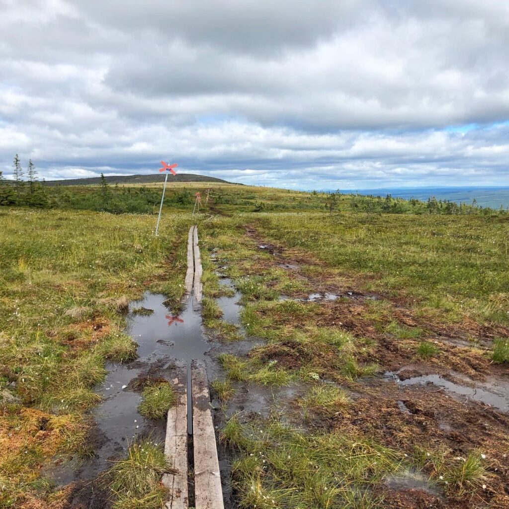 Stensjön, Hemfjällstangen och Mellanfjällsstugan runt