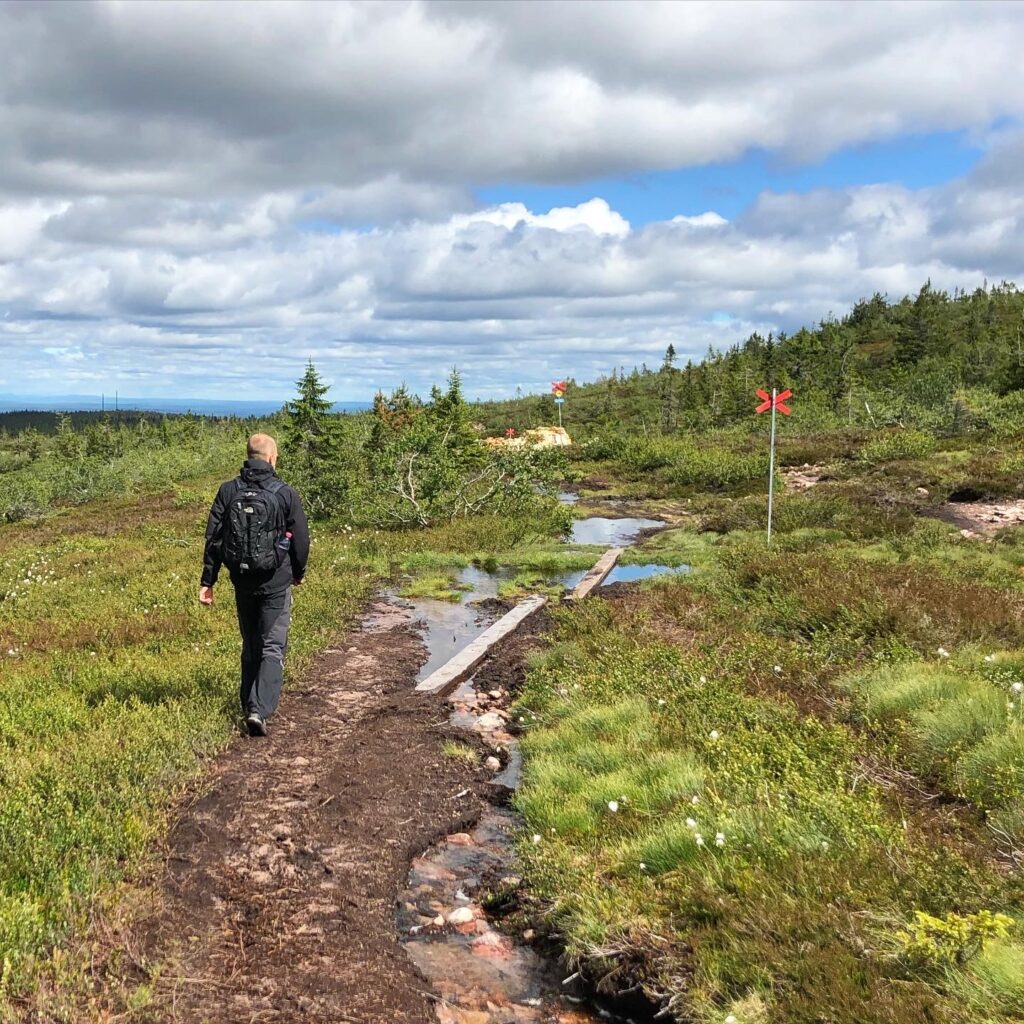 Vandring till Stensjön och Mellanfjällets topp