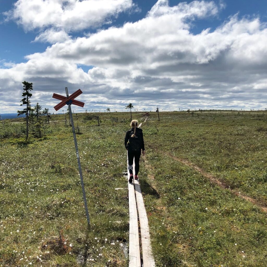 Stensjön, Hemfjällstangen och Mellanfjällsstugan runt