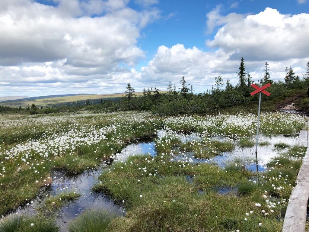 StorfjÄllsgraven