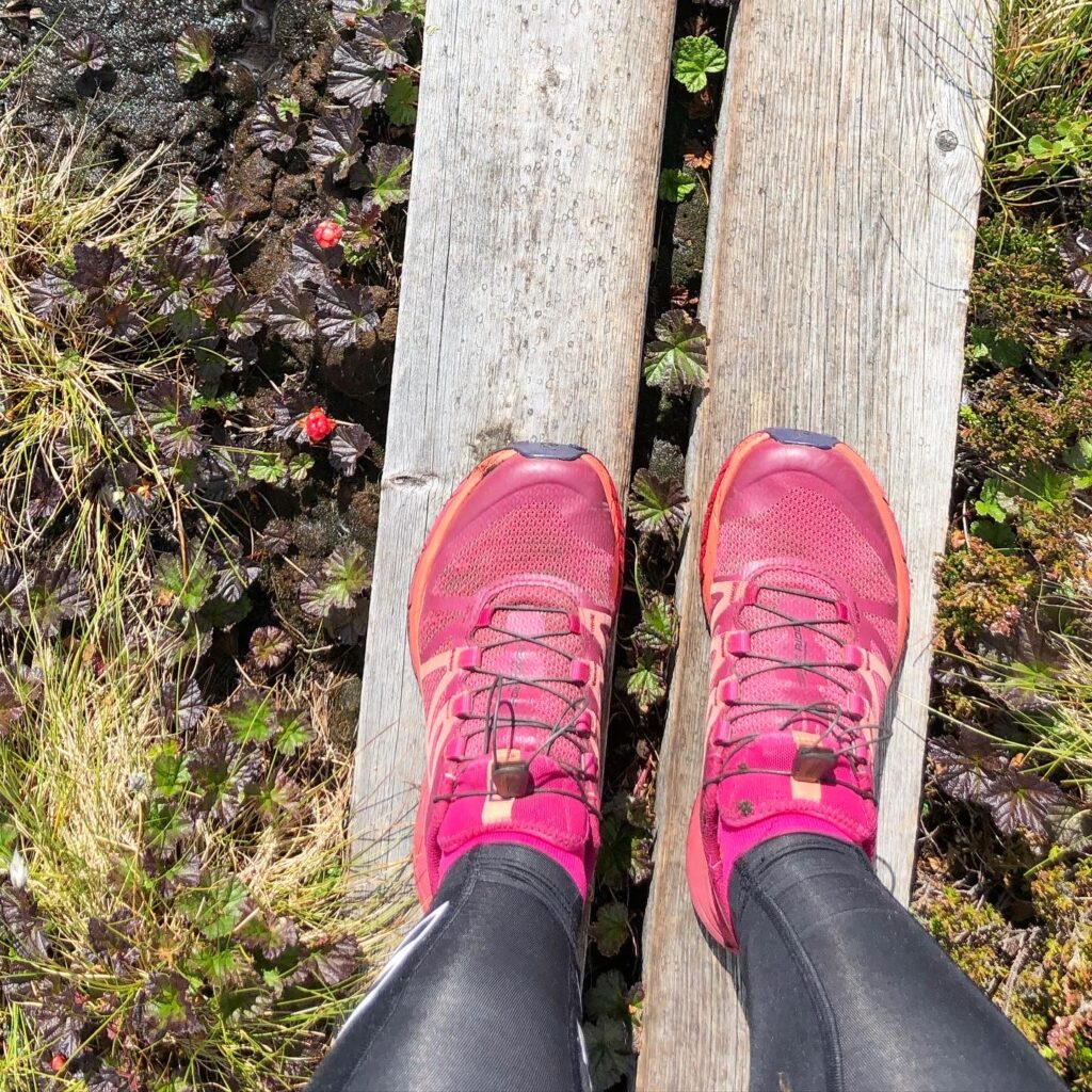 Salomon Sense Ride