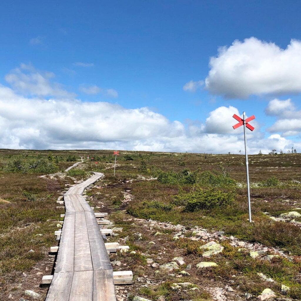 Stensjön, Hemfjällstangen och Mellanfjällsstugan runt