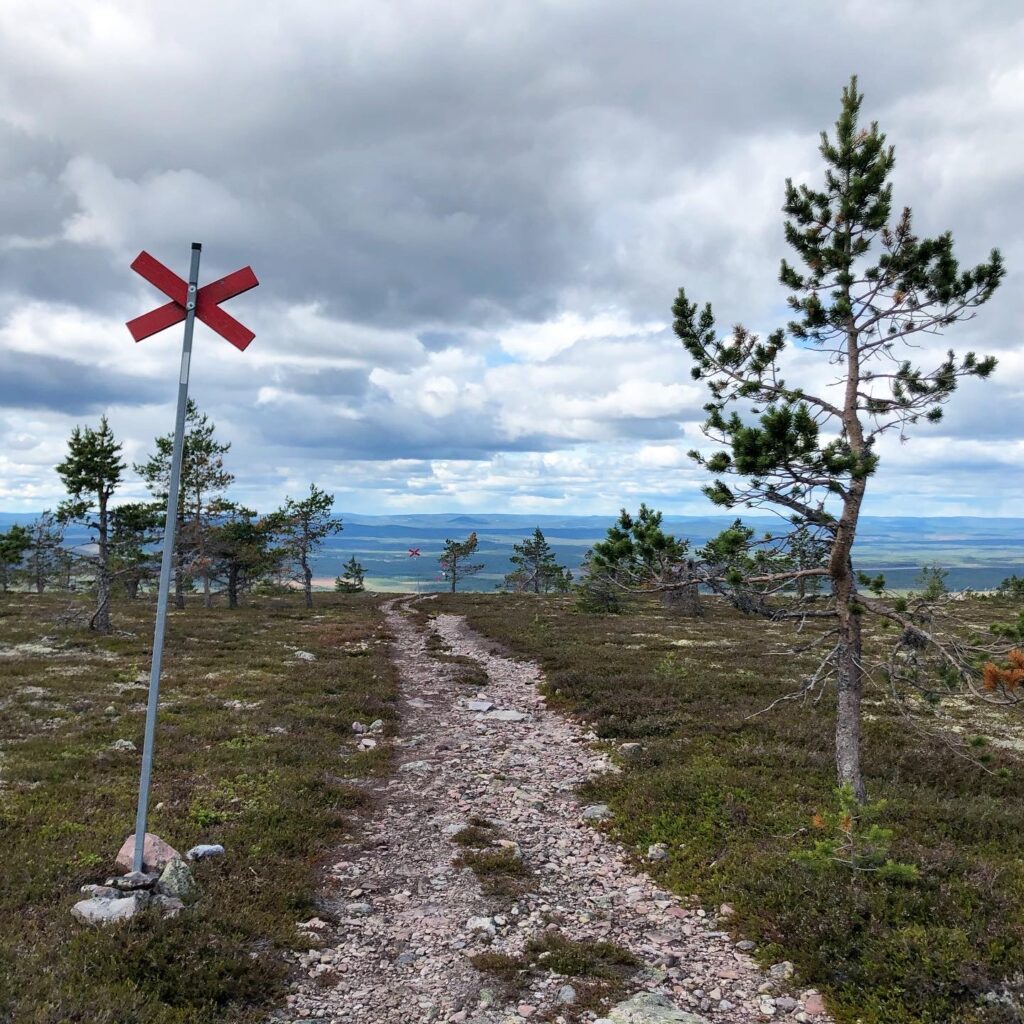 Vandring Hundfjällsslingan och Hundfjällets topp