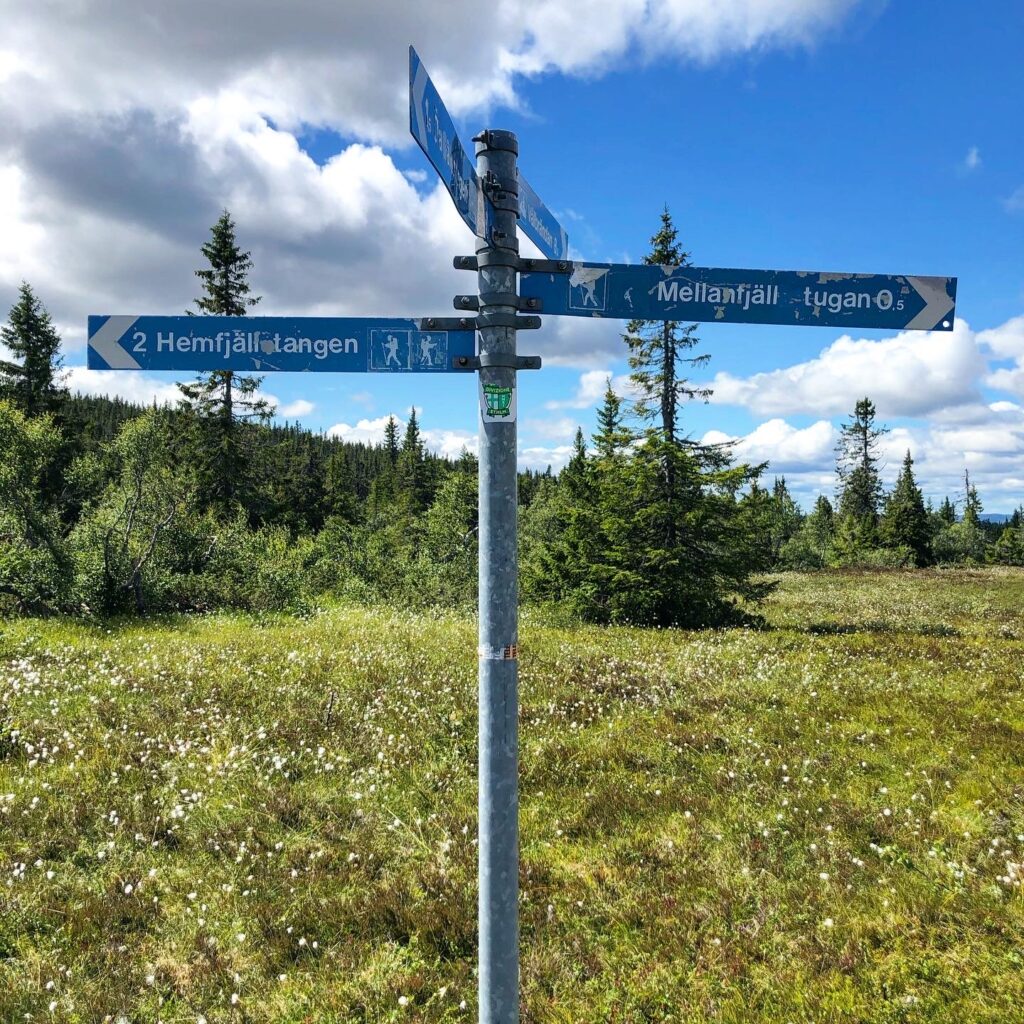 Stensjön, Hemfjällstangen och Mellanfjällsstugan runt