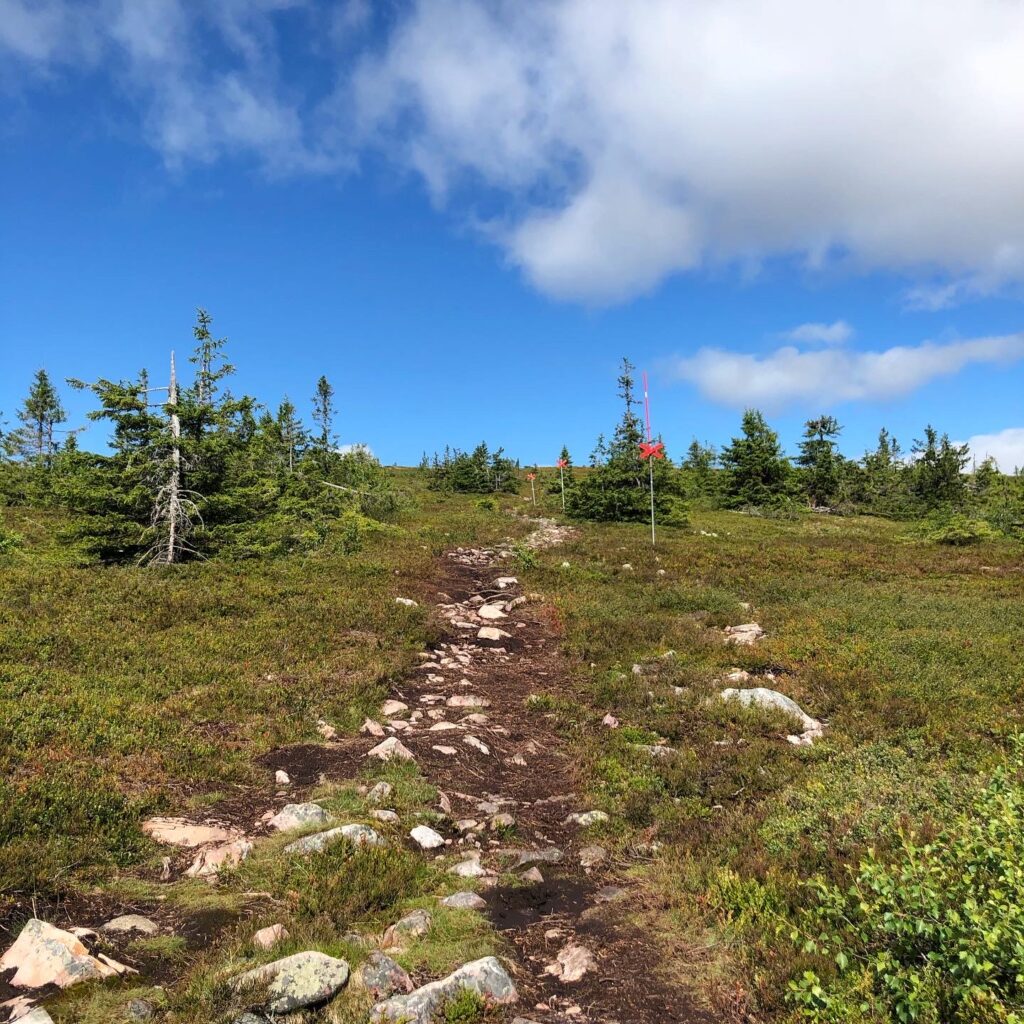 Mellanfjället