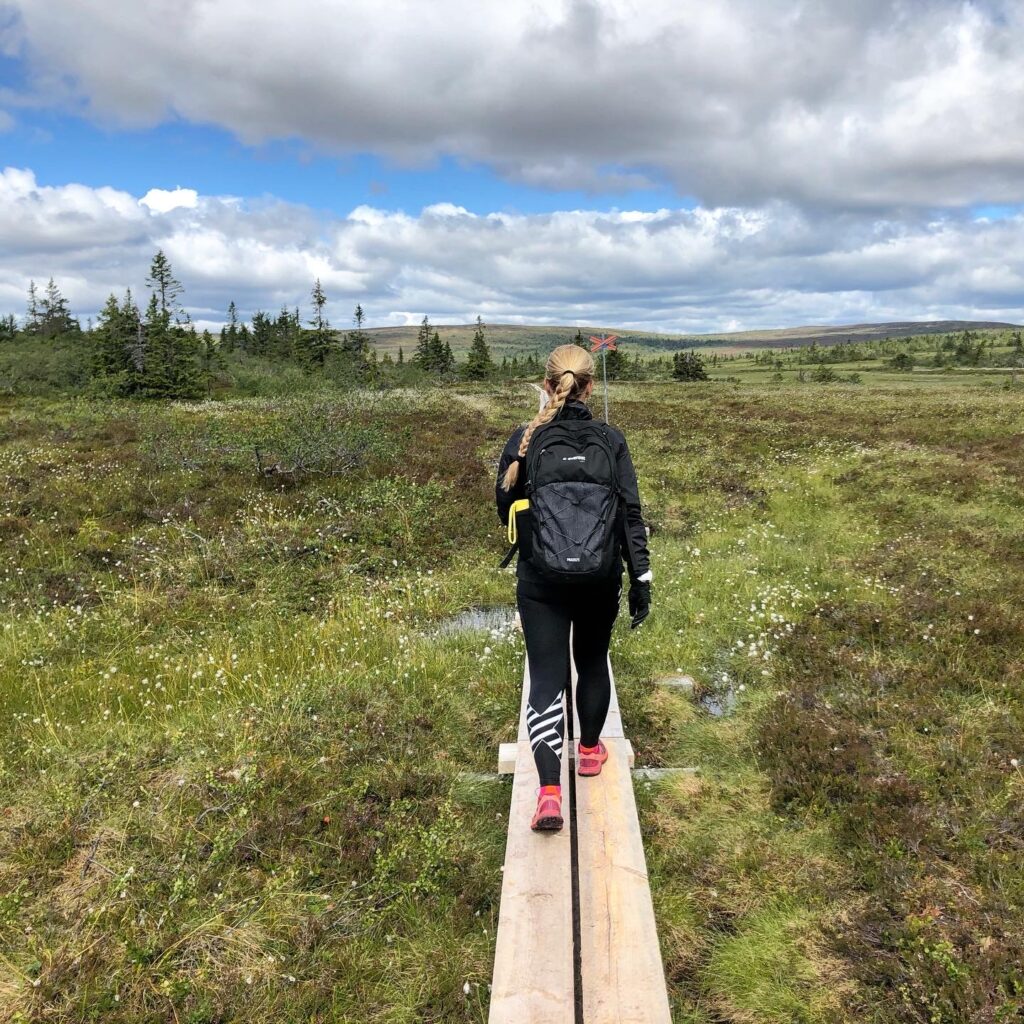 Hemfjällstangen