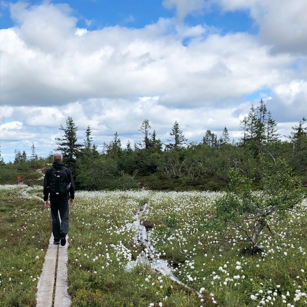 Storfjällsgraven