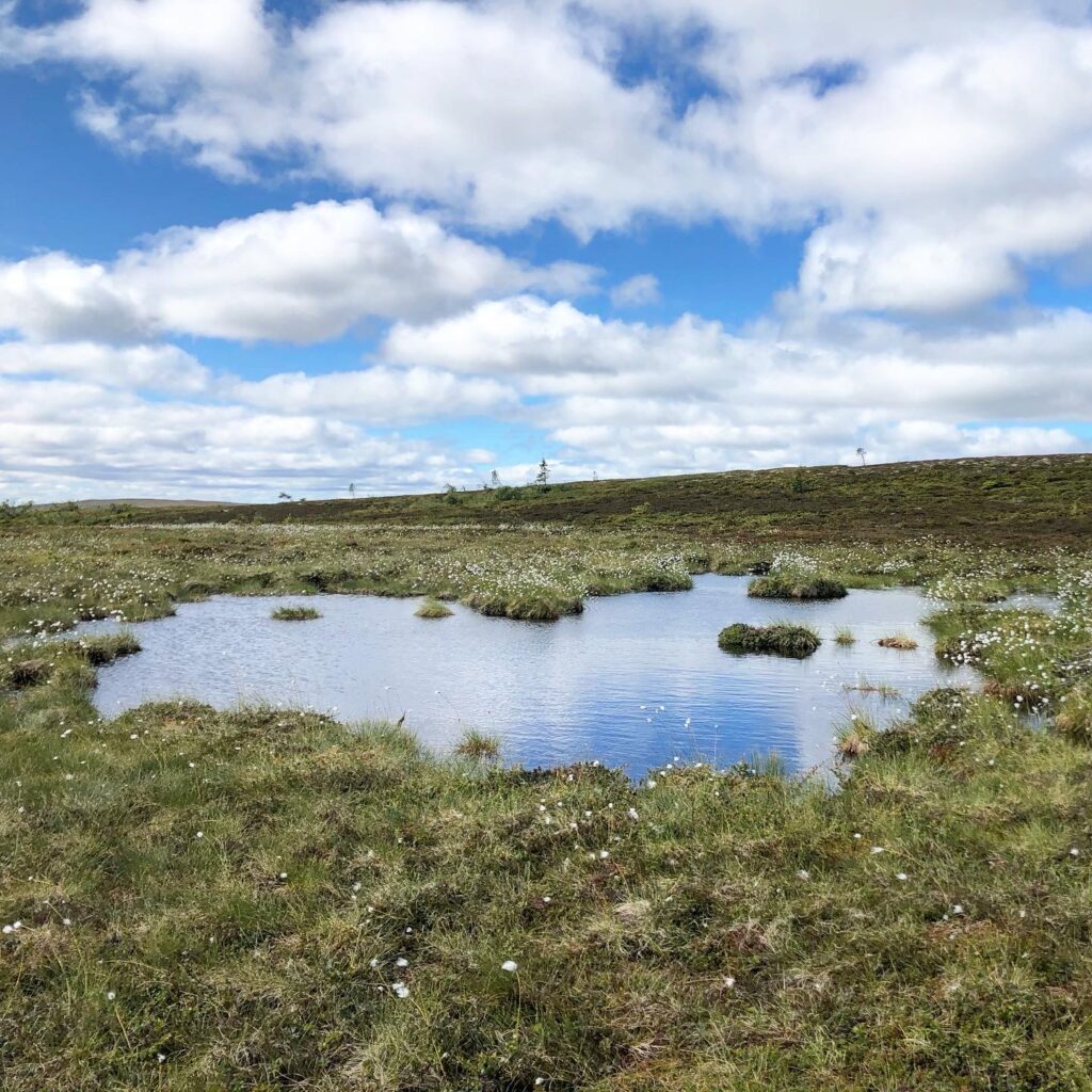 Hjärtsjön