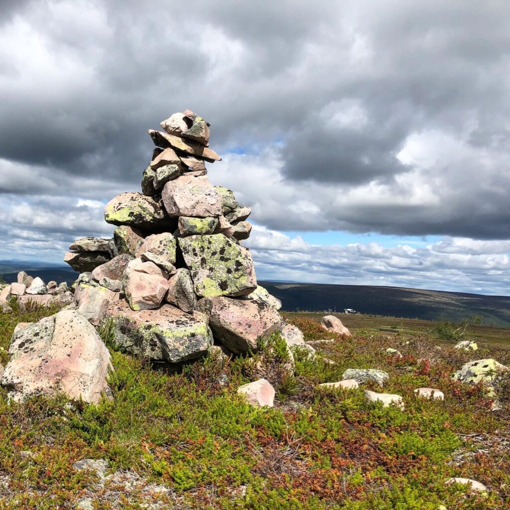 Stenhög