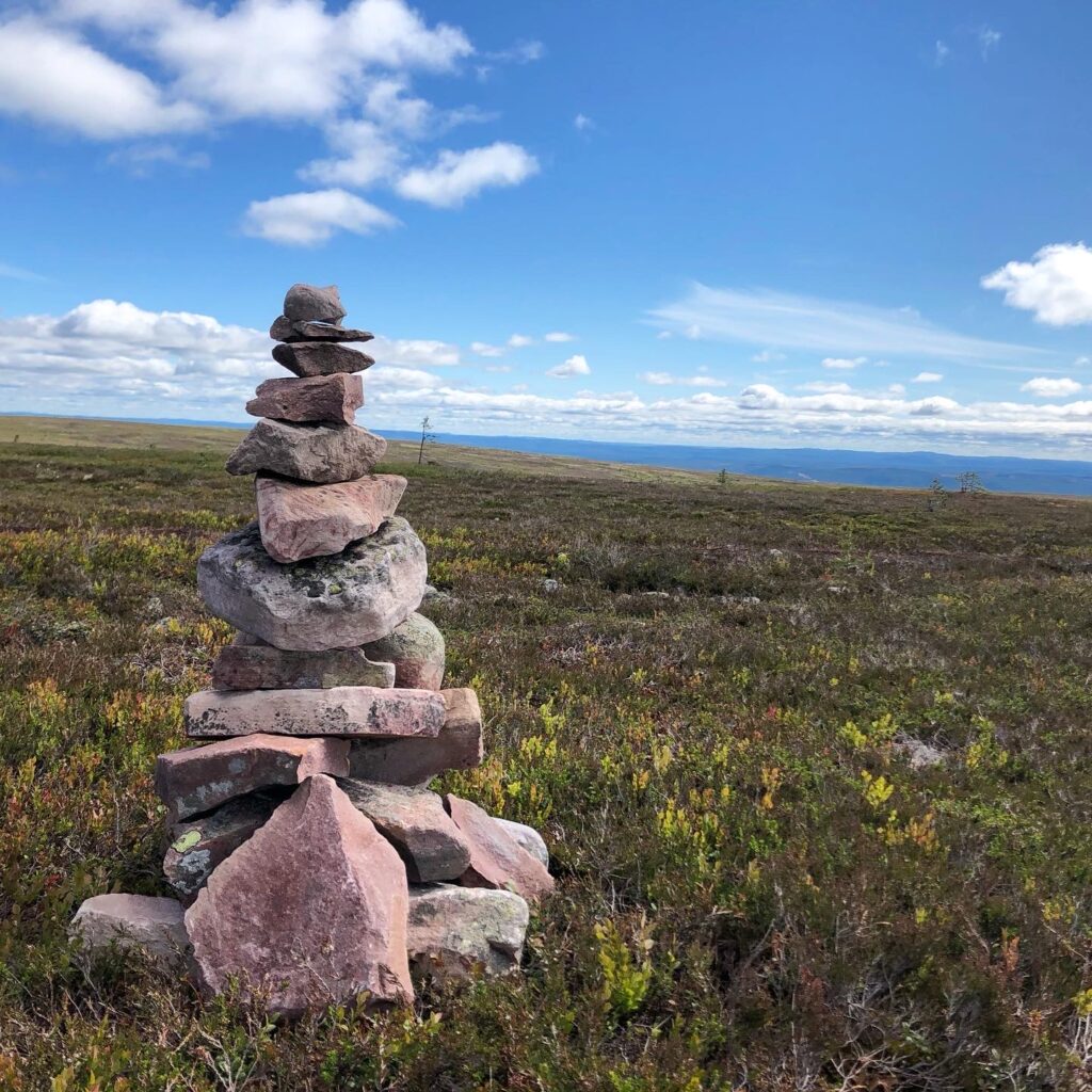 Mellanfjällets topp