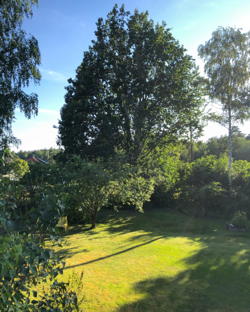 Min utsikt när jag tränade