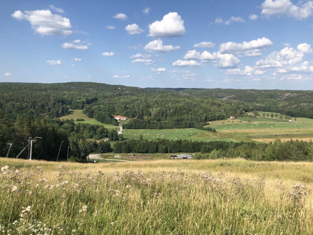Yxbacken